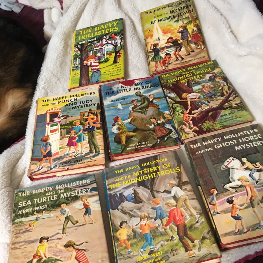 Happy Hollisters books